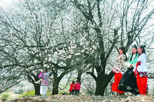 90vS即时比分滚球版实时数据